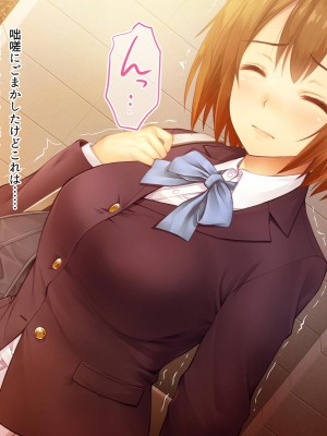 (同人CG集) [おいしいお肉] 僕の好きなあの子が知らない間に不良達の肉便器になっていた_a091