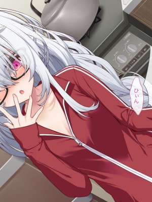 [Leonids] 裏アカこのみ 義妹の裏垢を発見したので……フォロワー数を爆上げしてやった!_010