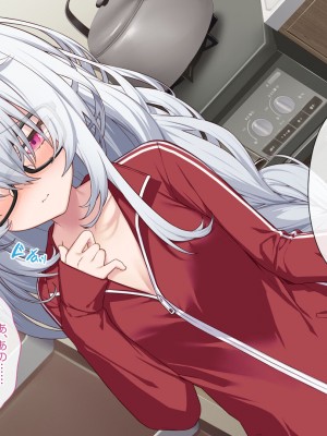 [Leonids] 裏アカこのみ 義妹の裏垢を発見したので……フォロワー数を爆上げしてやった!_011