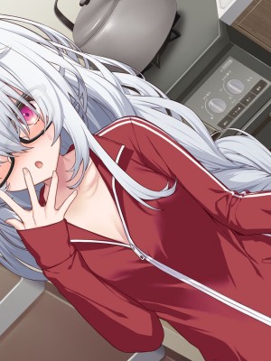 [Leonids] 裏アカこのみ 義妹の裏垢を発見したので……フォロワー数を爆上げしてやった!_543