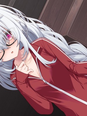 [Leonids] 裏アカこのみ 義妹の裏垢を発見したので……フォロワー数を爆上げしてやった!_493