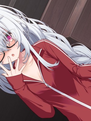 [Leonids] 裏アカこのみ 義妹の裏垢を発見したので……フォロワー数を爆上げしてやった!_494