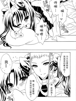 (C71) [心拍数低下 (ウサミルイ)] :ragtime (Fate／stay night) [中国翻訳]_07
