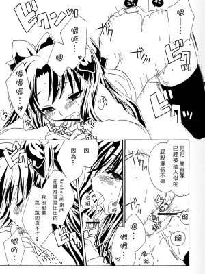 (C71) [心拍数低下 (ウサミルイ)] :ragtime (Fate／stay night) [中国翻訳]_13