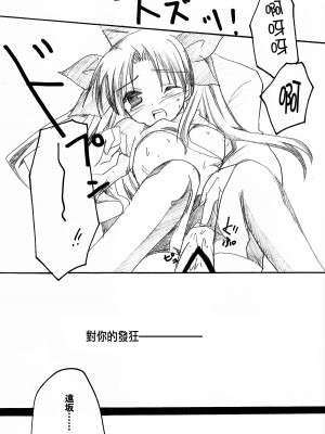 (みみけっと10) [LAST EDEN (天音真理)] Infinite Emotion (Fate／stay night) [中国翻訳]_16