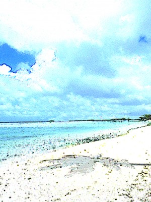 (同人誌) [東京漫画研究所 (練馬博士)] 桃色島 修学旅行で乗った遊覧船が遭難、辿り着いた無人島には3人のJKと僕だけ_n_008