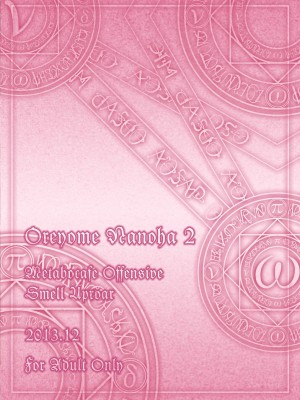 [メタボ喫茶異臭騒ぎ (いたちょう)] 俺嫁なのは 2 (魔法少女リリカルなのは) [肉夹个人汉化] [DL版]_24