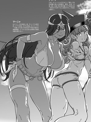[ケンソウオガワ (フクダーダ)] ぱふぱふの書(天)上巻 (ドラゴンクエストIV) [DL版]_11