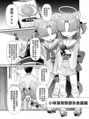 [雨蛙とスプロケット (あまがえる)] ブルアカモブで性癖を満たしまくる本。2 (ブルーアーカイブ)｜碧蓝档案的杂鱼酱们满足你的性癖的本。2 [角都九阳个人汉化] [DL版]_02