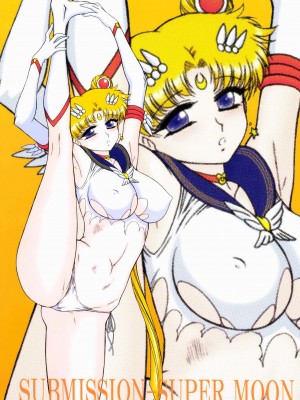 (C84) [BLACK DOG (黒犬獣)] SUBMISSION-SUPER MOON (美少女戦士セーラームーン)｜美少女战士 顺服淫月 [长舌黑道大只食蚁兽狂舔汉化]_02