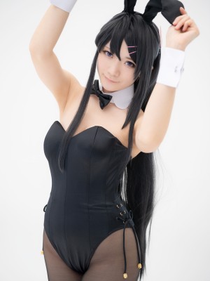 Lapin Angelia - 樱岛麻衣_s_bunny003