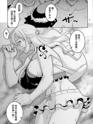 (C90) [ACID-HEAD (ムラタ。)] ナミの裏航海日誌 11 (ワンピース) [中国翻訳]_02