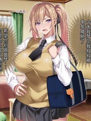 [アイチルワークス] 満員電車の中でおじさんが無理やり美少女を寝取ったりギャルを孕ませたりする話【今天開始戒擼個人機翻】_327