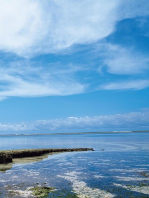 相沢みなみ写真集 Mi_embed0001