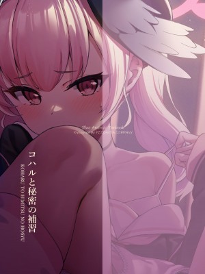 [PIZZANIA COMPANY (ぴっつぁ)] コハルと秘密の補習 (ブルーアーカイブ) [DL版]_30