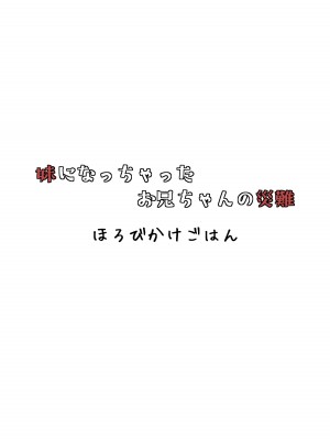 [ほろびかけごはん (らない)] 妹になっちゃったお兄ちゃんの災難 [DL版]_30