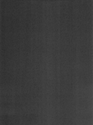 (C104) [キレイナブタ(ぶたちゃんぐ)] 異世界の女たち8.0_04