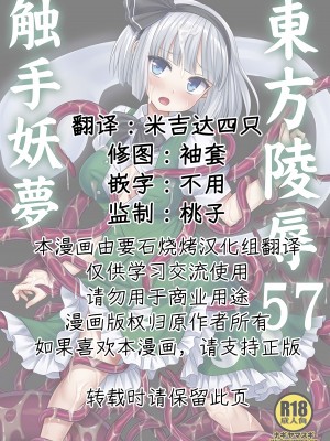 (C104) [ナギヤマスギ (那岐山)] 東方陵辱57 触手妖梦 (東方Project) [要石烧烤汉化组]_02
