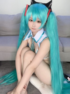Seele麦麦 - 初音未来_79