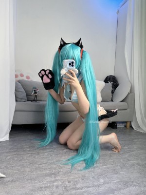 Seele麦麦 - 初音未来_47