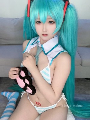 Seele麦麦 - 初音未来_02