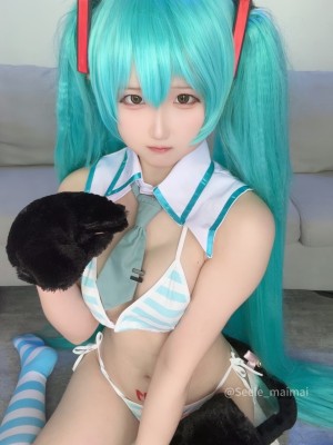 Seele麦麦 - 初音未来_62