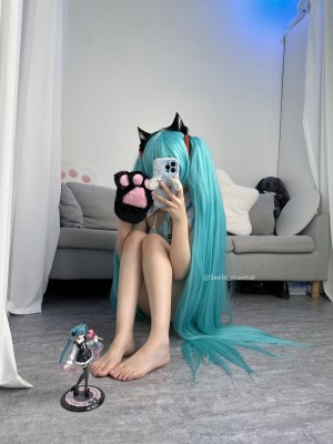 Seele麦麦 - 初音未来_44
