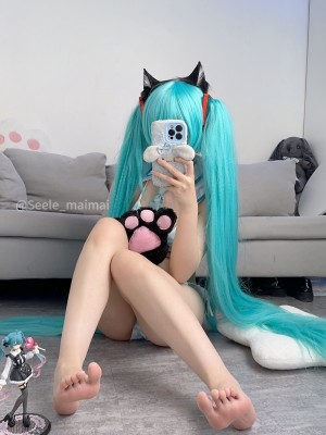 Seele麦麦 - 初音未来_59