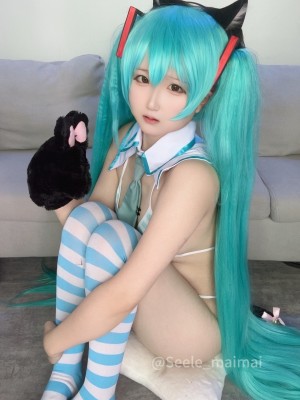 Seele麦麦 - 初音未来_69