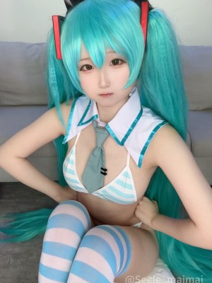 Seele麦麦 - 初音未来_80