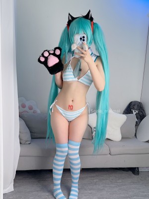Seele麦麦 - 初音未来_19