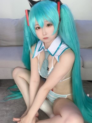 Seele麦麦 - 初音未来_77