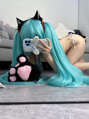 Seele麦麦 - 初音未来_40