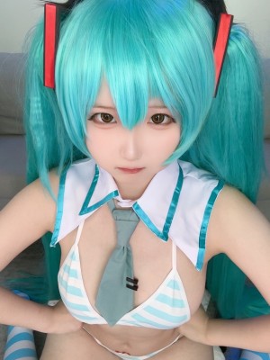 Seele麦麦 - 初音未来_65