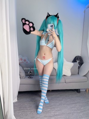 Seele麦麦 - 初音未来_32
