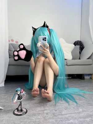Seele麦麦 - 初音未来_43