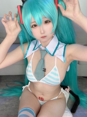 Seele麦麦 - 初音未来_67