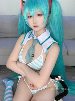 Seele麦麦 - 初音未来_06