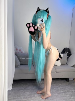 Seele麦麦 - 初音未来_48