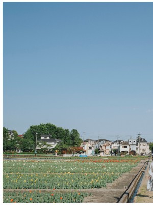 小島みなみ デジタル写真集 とられち_embed0002_HD