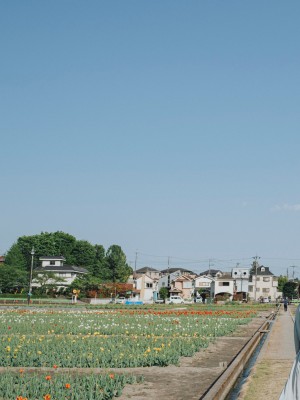 小島みなみ デジタル写真集 とられち_embed0146_HD