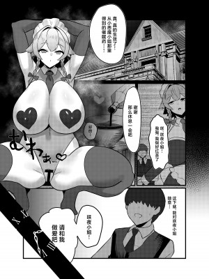 [月光包丁 (渡辺SINKAI)] 紅魔館式新人教育 (東方Project) [中国翻訳] [DL版]_19