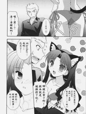 [wl00314824個人漢化] (C72) [C・A・T (森崎くるみ)] RED／II (Fate／stay night)_019