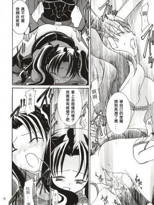 [wl00314824個人漢化] (C65) [いいわけ会社 (樹宮匡平)] Magician's Red (Fate／stay night)_13