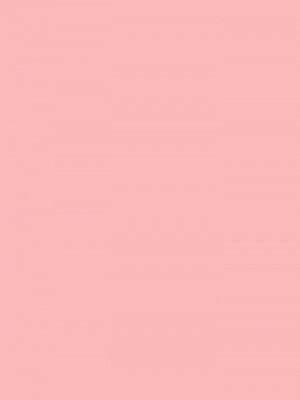 [梓君個人漢化] (C87) [鳥の屋 (ましこどり)] のんちゃんはおねだり上手。 (プリパラ)_04