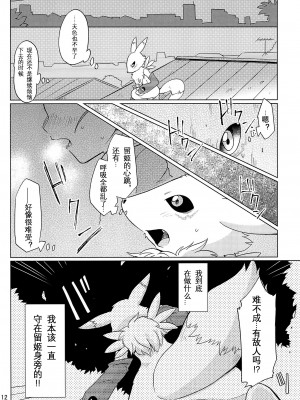 [猫环汉化] (関西!けもケット4) [38 (トラ猫)] DOUBLE SLASH!! | 双重抽換 (デジモンテイマーズ)_12