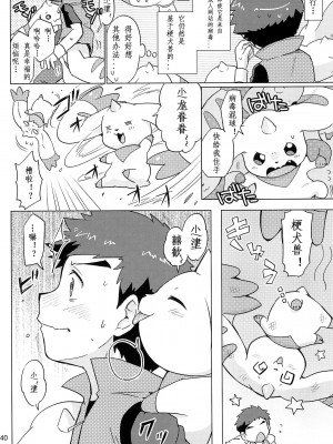 [猫环汉化] (関西!けもケット4) [38 (トラ猫)] DOUBLE SLASH!! | 双重抽換 (デジモンテイマーズ)_40