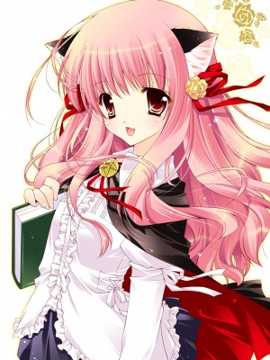 [しぐにゃん] ゼロの使い魔 総集編 (ゼロの使い魔) [DL版]_071