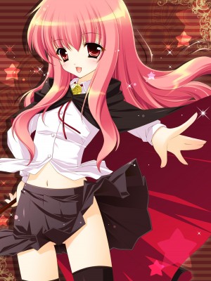 [しぐにゃん] ゼロの使い魔 総集編 (ゼロの使い魔) [DL版]_027