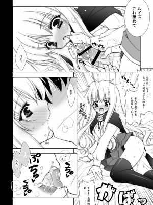 [しぐにゃん] ゼロの使い魔 総集編 (ゼロの使い魔) [DL版]_040